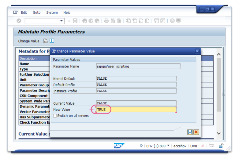 Aktivieren von Skripten für SAP - WalkMe Help Center